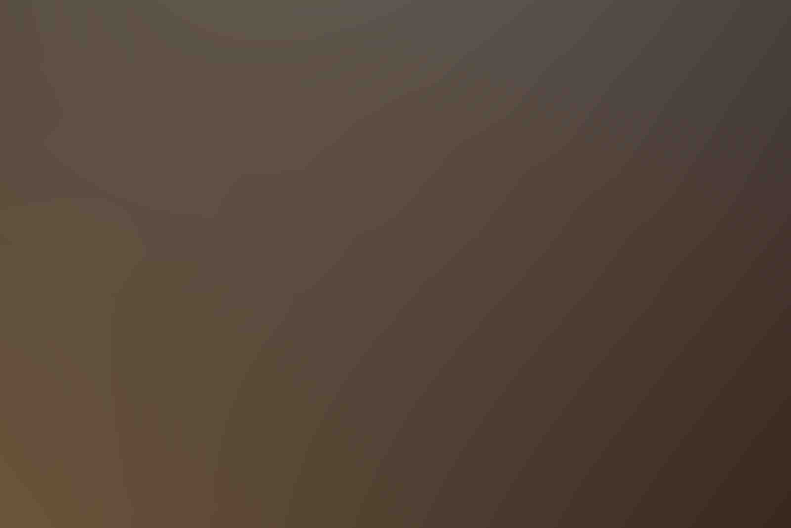 democracy-02-min